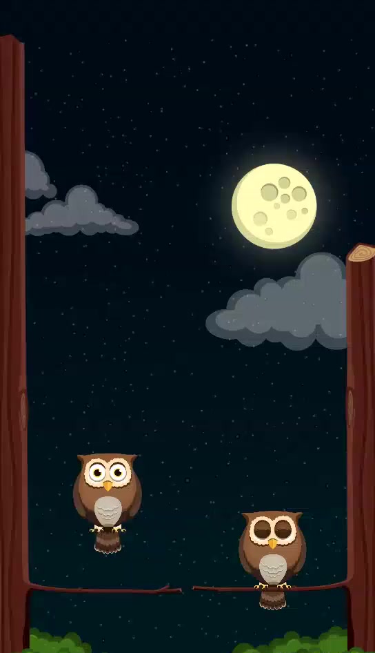 Twit Twoo mobile game prototype video.